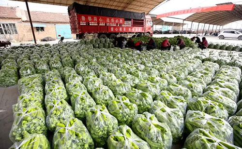 我是湖南長沙蔬菜批發(fā)市場，買多少錢的農(nóng)藥殘留檢測儀合適？