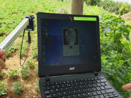 植物冠層圖像分析儀可以測(cè)量什么？